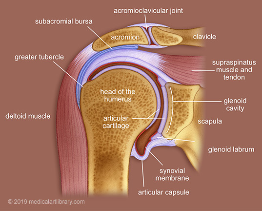 coding-extensive-arthroscopic-shoulder-debridement-29823-coding-mastery